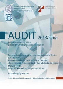 Audit 2013/zima